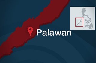 AFP assists 17 Vietnamese seafarers off Palawan