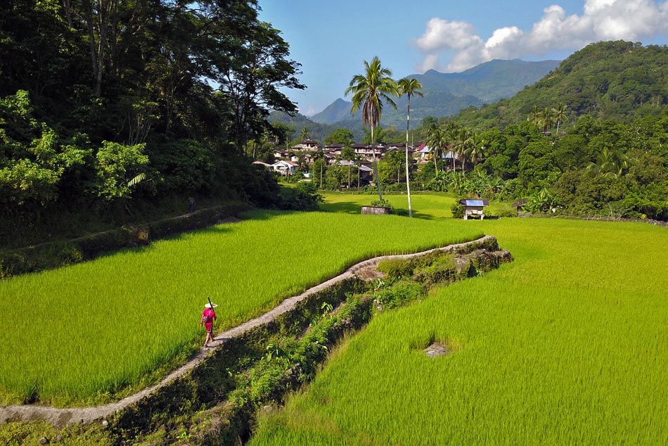 Lubuagan Kalinga, one of the - Luzvimindan Project