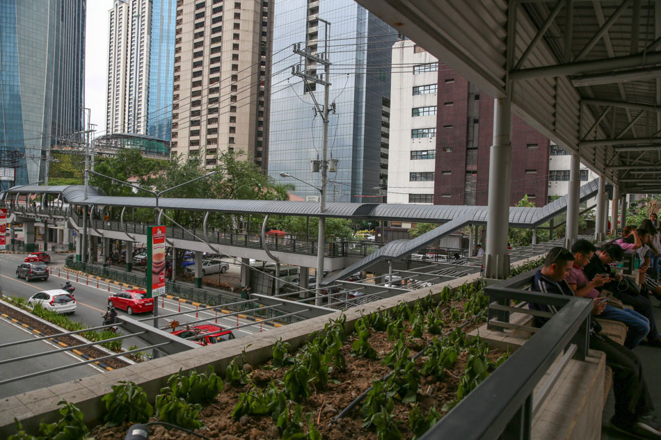 Imagining Metro Manila as a &#39;green&#39; capital 10