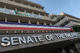 Senate panel retains P19-billion anti-insurgency fund in 2021 budget