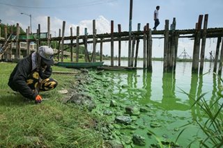 Converting algae into rocket biofuel