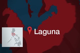 Laguna's COVID-19 cases at 'critical' level, gov says