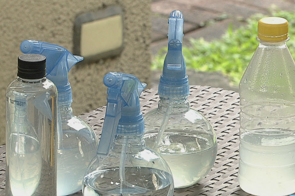 ALAMIN Paggawa ng homemade mosquito repellent ABS-CBN News pic