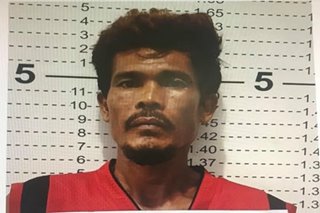 'Kumander' ng CPP-NPA, arestado sa Davao del Norte