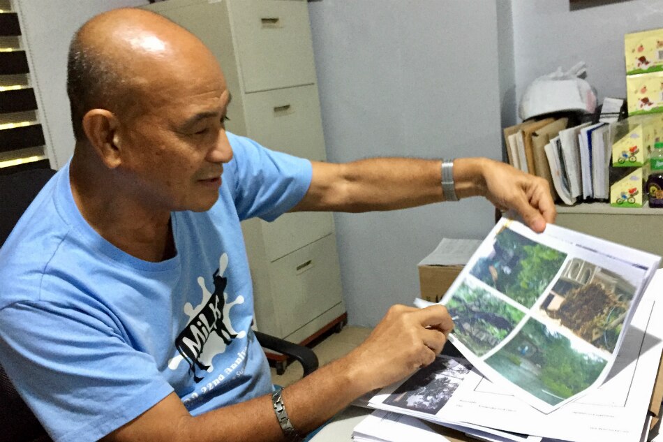 DENR probes Philam Homes after residents complain of tree cutting 4