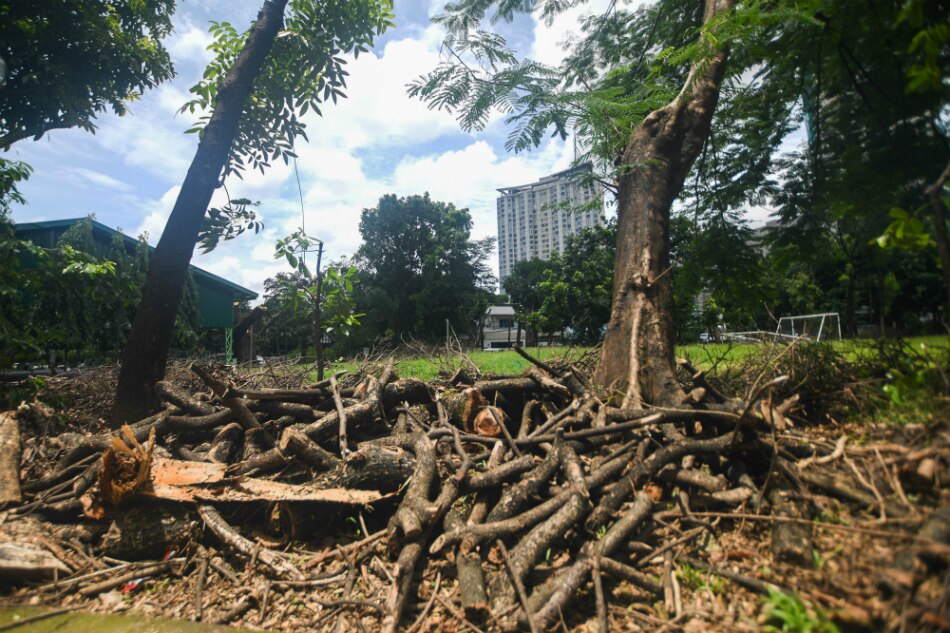 DENR probes Philam Homes after residents complain of tree cutting 5