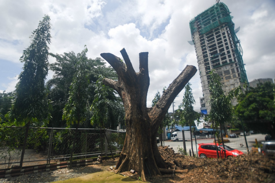 DENR probes Philam Homes after residents complain of tree cutting 2