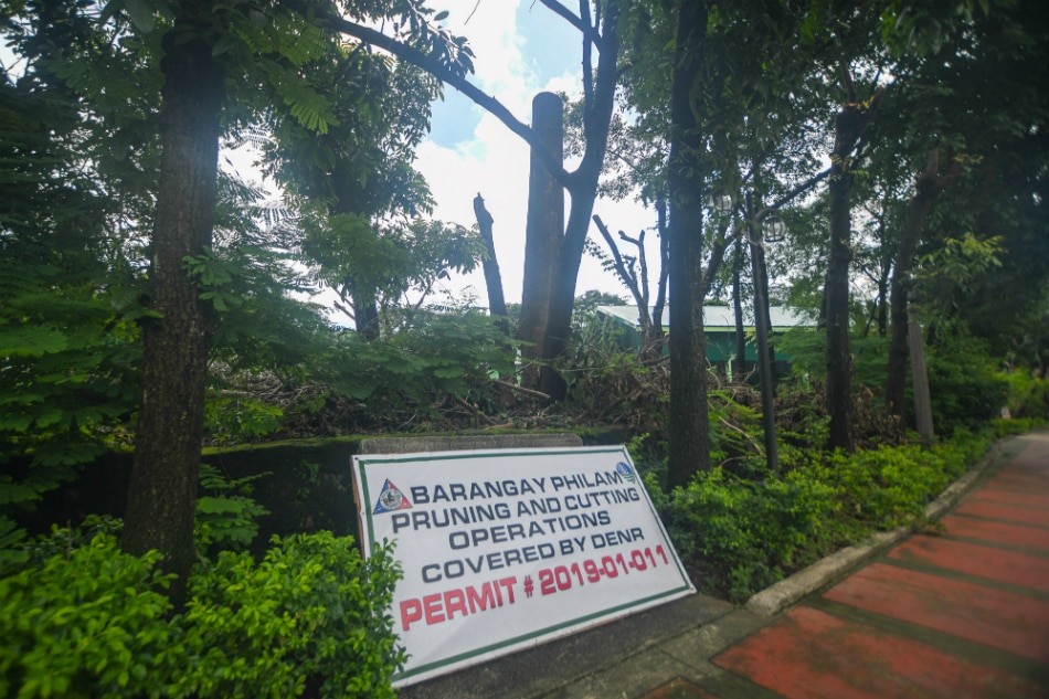 DENR probes Philam Homes after residents complain of tree cutting 3