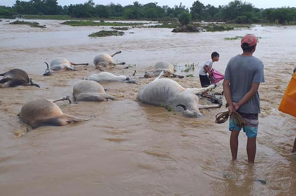 Laoag under state of calamity amid floods brought by &#39;Ineng&#39; 12