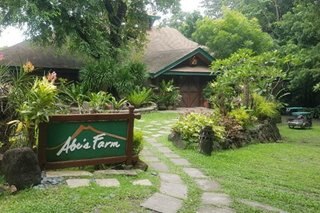 Abe's Farm takes guests to the heart of Pampanga
