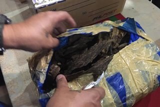 Higit P5.3-milyong halaga ng wood chips ng endangered Agarwood kumpiskado sa Butuan