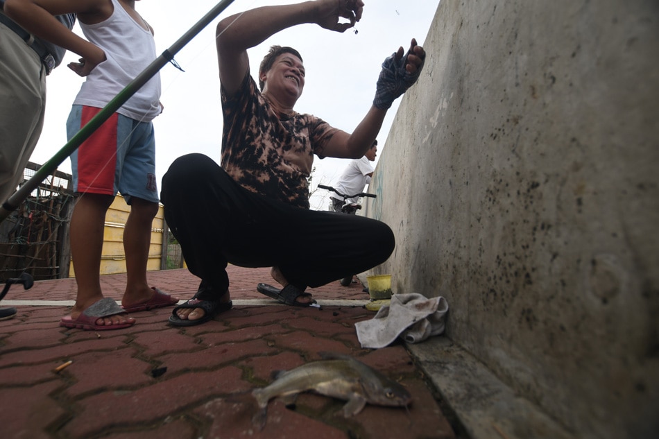 ‘Monster fish’ in polluted Pasig River explained 3