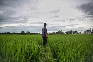 Marcos Jr. vows to speed up distribution of farm land to beneficiaries