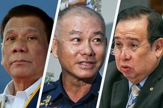 Senate has enough info for Duterte to decide Albayalde's fate - Gordon
