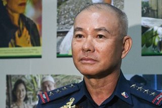Embattled PNP Chief Albayalde bucks early retirement: Palace official