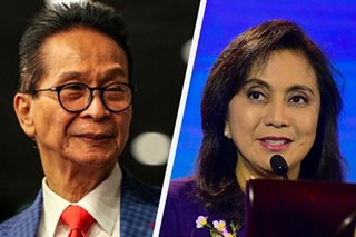 No empathy? Panelo says Robredo only wants attention