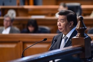 SEA Games mishaps due to budget delay, Drilon 'partly to blame', says lawmaker