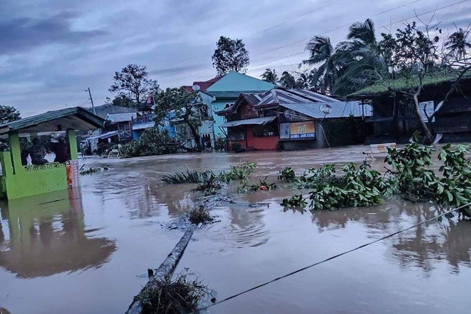 LOOK: Uprooted trees, flooded towns in Tisoy's wake | ABS-CBN News