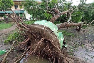 LOOK: Uprooted trees, flooded towns in Tisoy's wake
