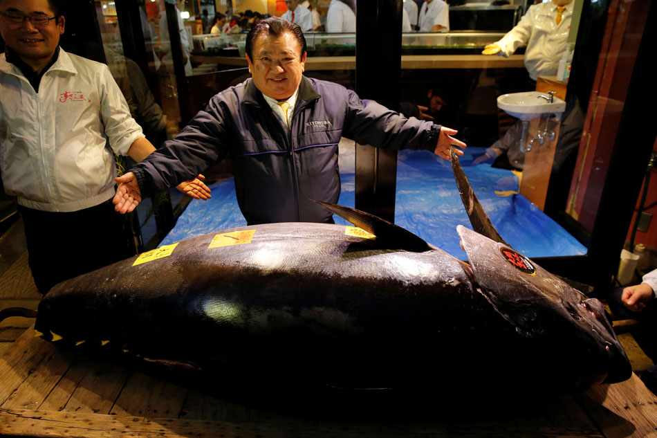 Tuna sells for record 3M in auction at Tokyo's new fish market ABS