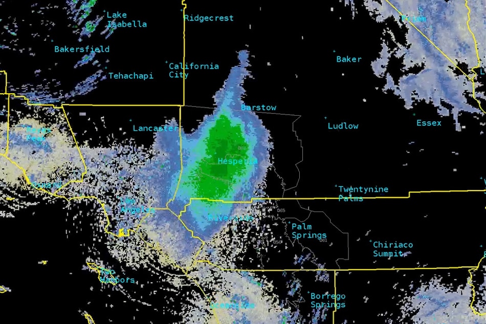 Amazement as giant swarm of California ladybugs shows up on radar | ABS ...