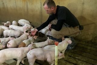 US farmers suffer 'body blow' as China slams door on farm purchases