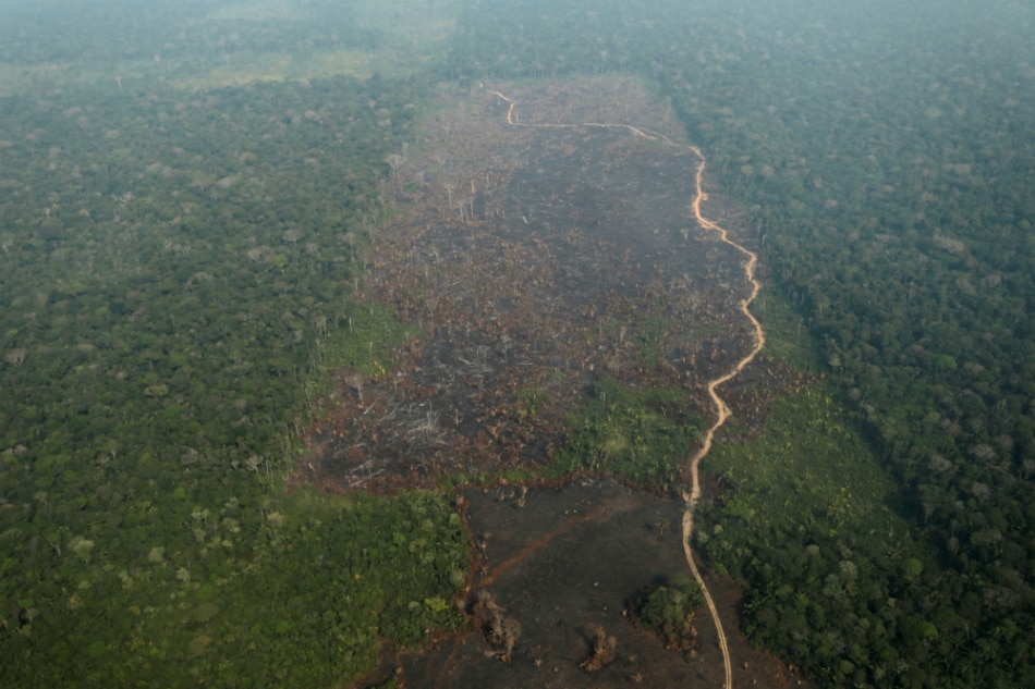 ‘Lungs of the Earth’: 5 things to know about the Amazon 1