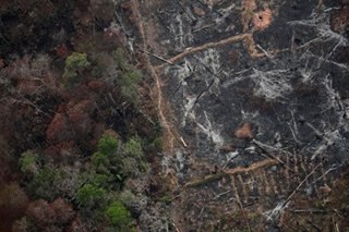 Amazon forest burning