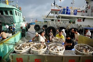 China drafts law to combat illegal fishing, safeguard stocks