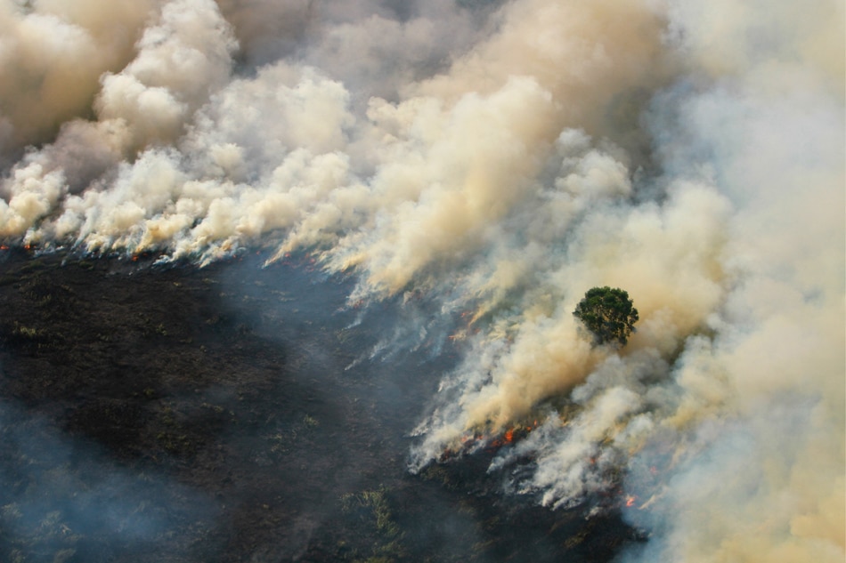 Forest-fire haze blankets parts of Southeast Asia | ABS ...