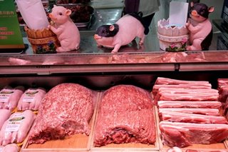 China pork to blame for ASF outbreak in the Philippines - DA