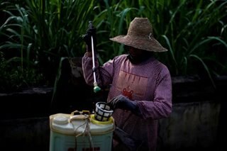 Occupational pesticide exposure may raise heart risk