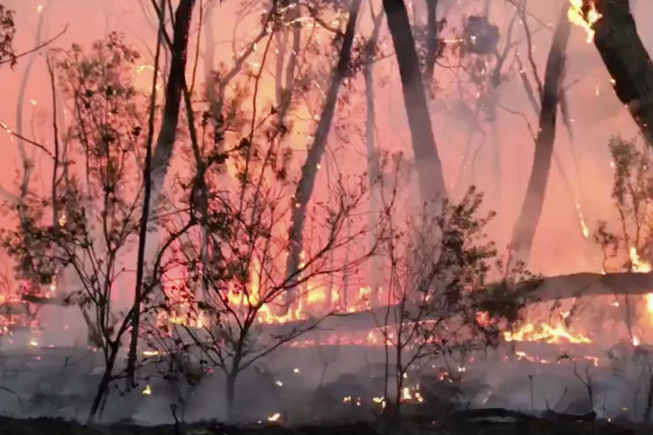 Environment minister stands by comments linking bushfires to climate change