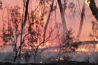 Australia fires expected to spread in 'severe' conditions