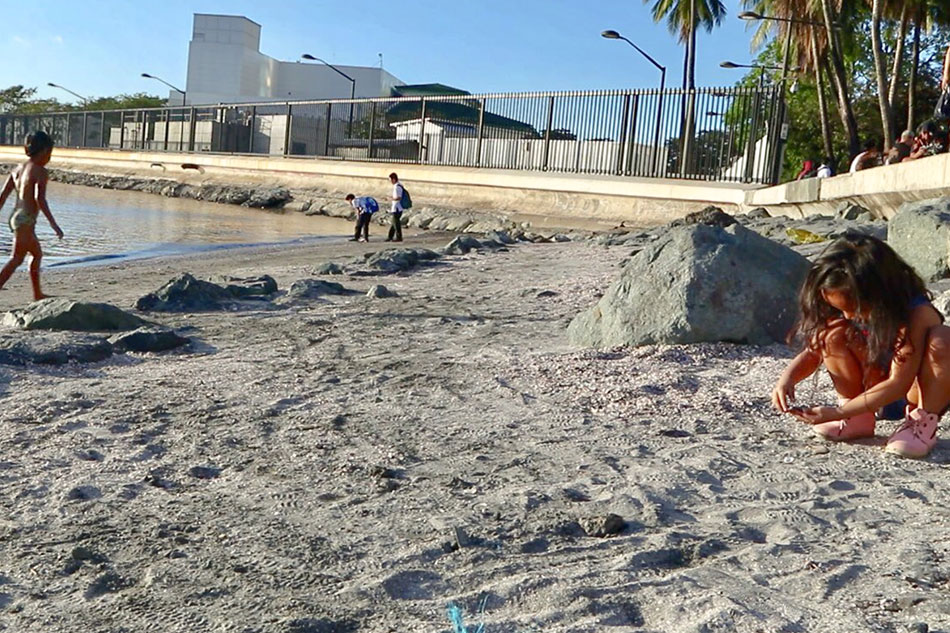 how to clean the birate bay drop dows history how to clean the birate bay drop dows history