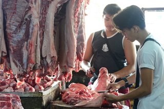 Pork imports limited to swine fever-free markets: trader