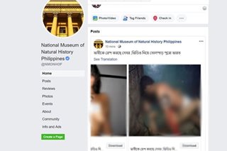 LOOK: National museum's Facebook page shares sexually explicit videos