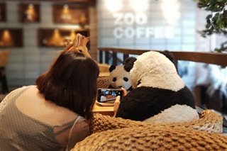 BGC eats: Zoo Coffee brings Korean treats, stuffed toys to McKinley Hill branch