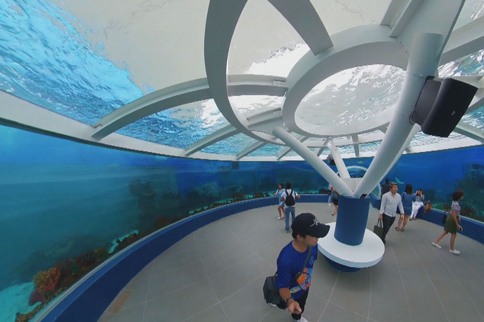 WATCH: Largest oceanarium in the Philippines now open in Cebu | ABS-CBN ...