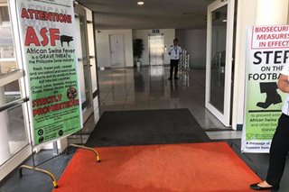 Iloilo airport installs foot bath amid African swine fever outbreak