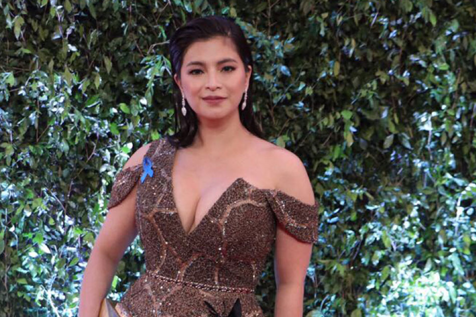 Why Angel Locsin skipped ABS-CBN Ball 1