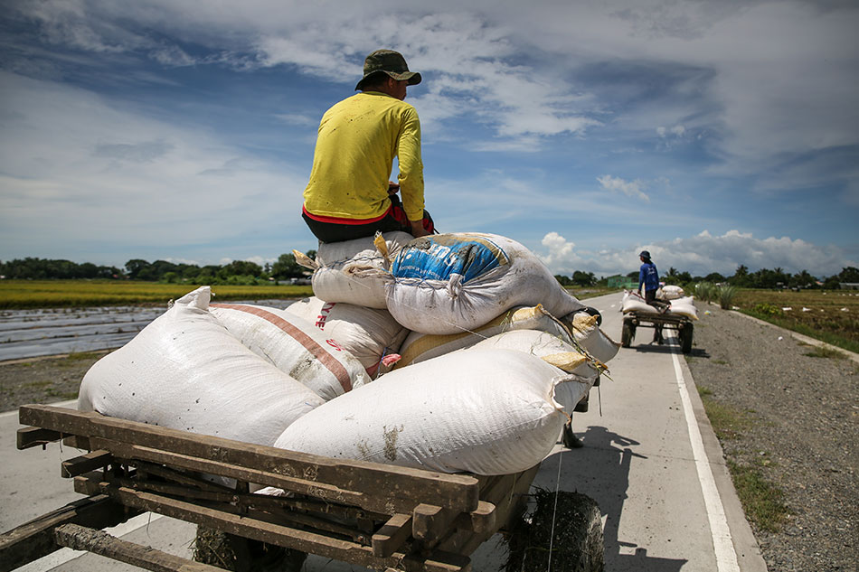 China still world&#39;s biggest rice importer: Agri Dept 1
