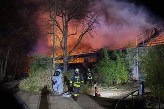 German zoo fire kills at least 30 animals