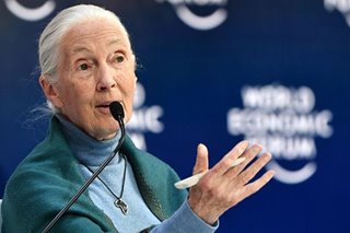 Primatologist Jane Goodall says 'disrespect for animals' caused coronavirus pandemic