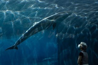 Genova Aquarium set to reopen