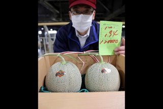 Coronavirus takes a bite out of Japan melon auction