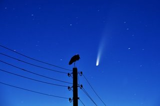 LOOK: Comet C/2020 F3 NEOWISE