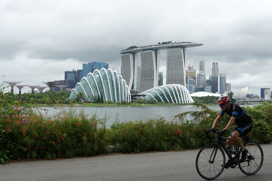 Singapore sinks into recession due to COVID-19 1