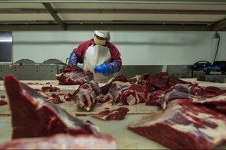 G20 carbon 'food-print' highest in meat-loving nations: report