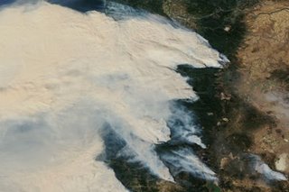 US wildfires kill 30